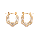 Andrea hoops