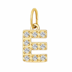 E initial charm