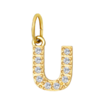 U initial charm